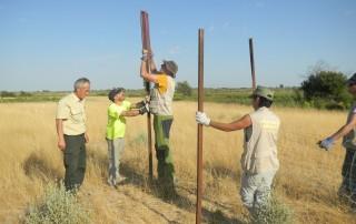 Espacio Natural de Doñana